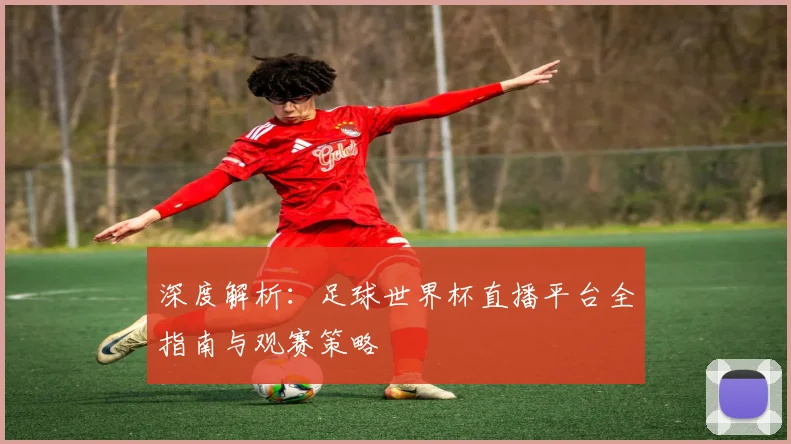 深度解析：足球世界杯直播平台全指南与观赛策略
