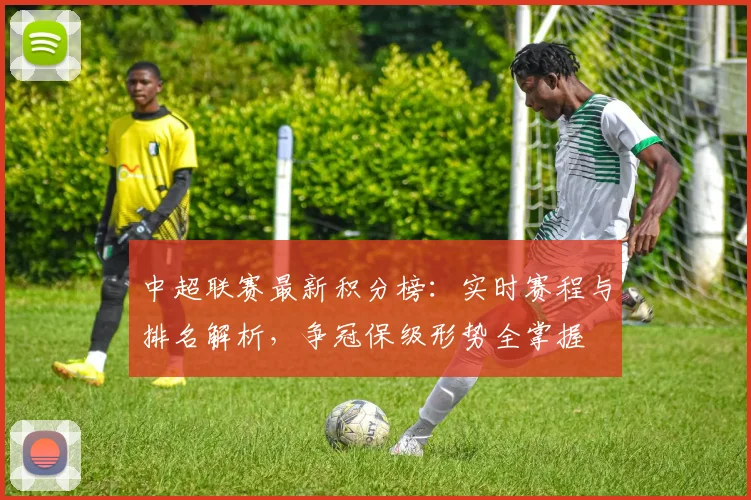 中超联赛最新积分榜：实时赛程与排名解析，争冠保级形势全掌握